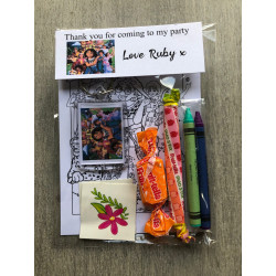 Encanto party Bags, pre filled party favours, personalised.